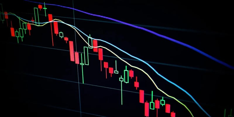 Person analyzing investment charts and financial data